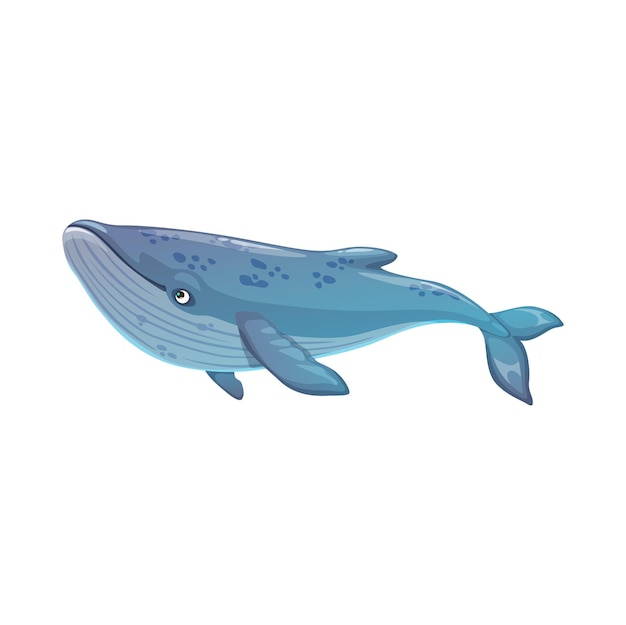 푸른 고래 수중 동물 벡터 바다 포유류