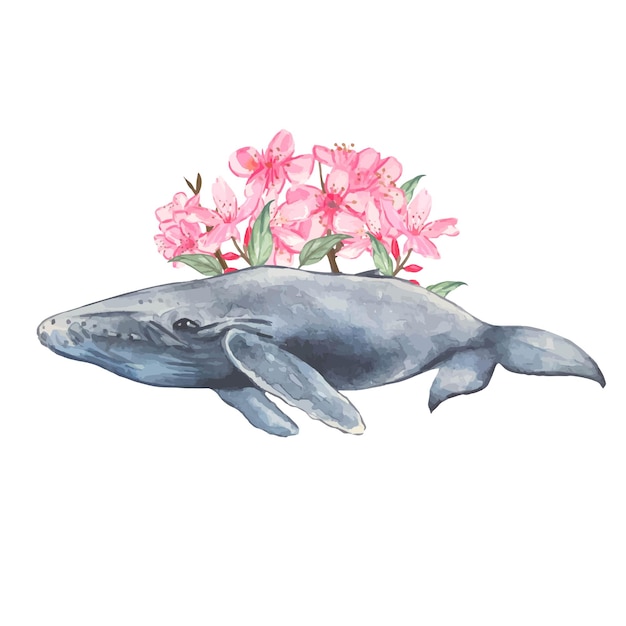 Blue whale with cherry blossoms  Watercolor handdrawn illustration