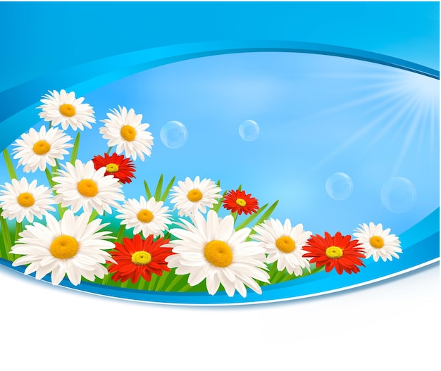 A blue and white background with a bunch of daisies and a blue background.