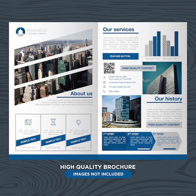 Blue and white business brochure