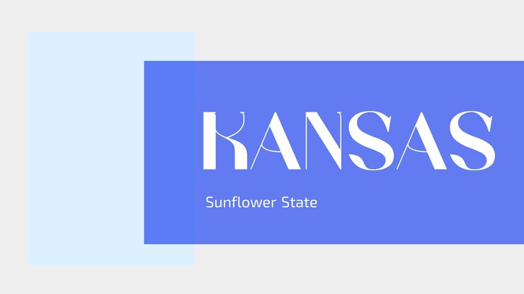 Vector a blue and white sign that says quot the sunflower state state state quot