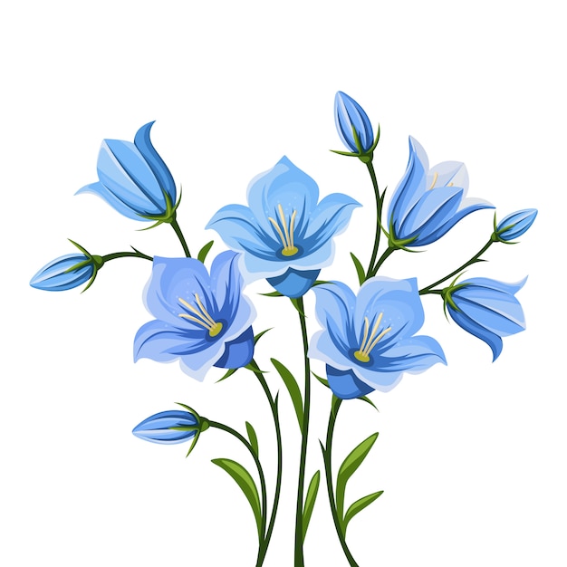 Vector bluebell bloemen. illustratie.