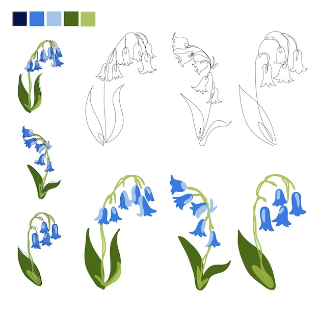 Vector bluebell hyacinth flower line art and drawings set simple elegant decoration design