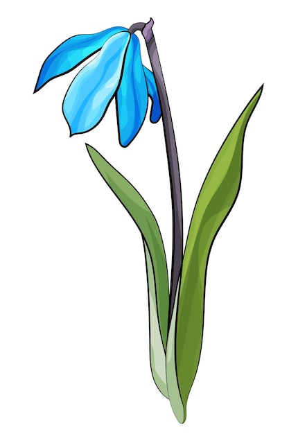 Bluebell Lente Blauwe Bloem Illustratie