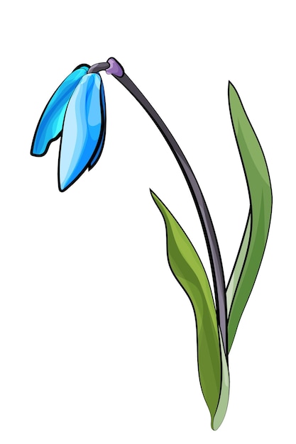 Bluebell Spring Blue Flower Illustration