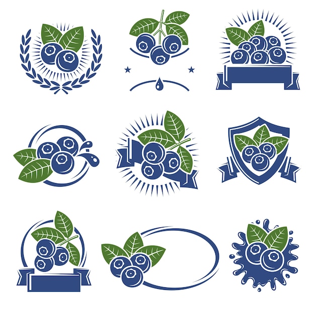 Blueberries label and icons set Icon blueberries Vector