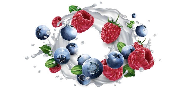 Vector blueberries and raspberries and a splash of milk or yogurt.