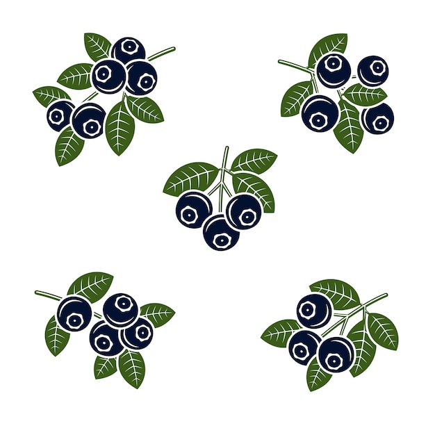 Blueberries set collection icon blueberries vector
