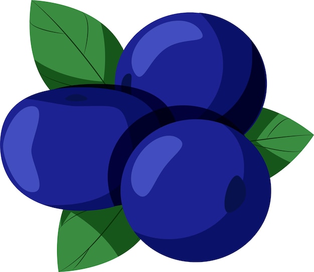 Vector blueberries