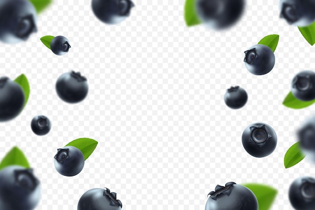 Черничный фон. Свежая ягода с зелеными листьями на прозрачном фоне. Летающие расфокусированные ягоды черники. 3D реалистичные фрукты. Падающая черника. Природный продукт. Векторная иллюстрация.