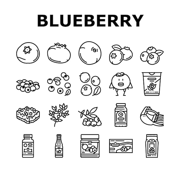 Vector blueberry biberry blue berry icons set vector