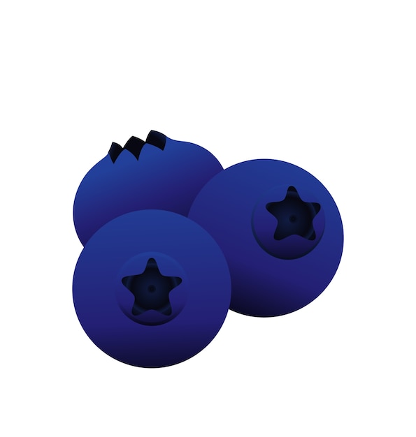 Blueberry, bilberry vector illustration