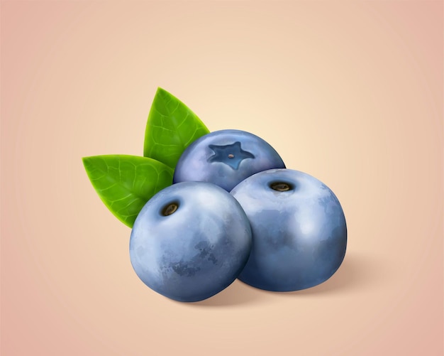 Blueberry or bilberry with leaf