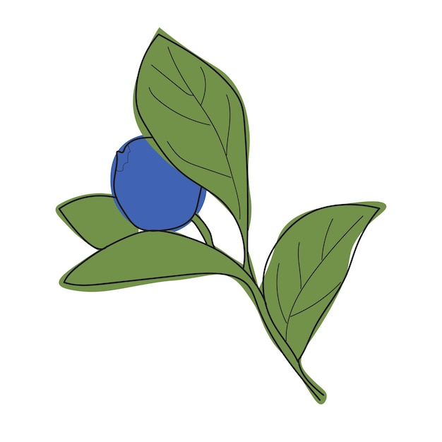 Blueberry branch minimalistic flat and line stylesprig of blueberries with leaves and berries