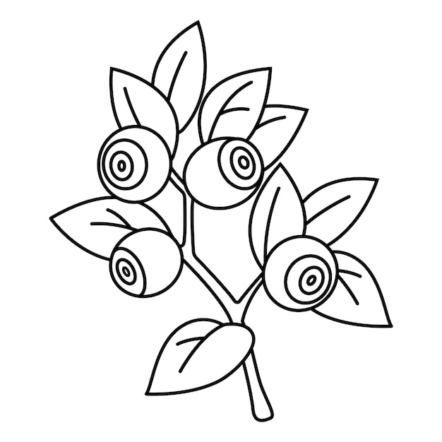 Blueberry coloring book Blueberry branch vector illustration