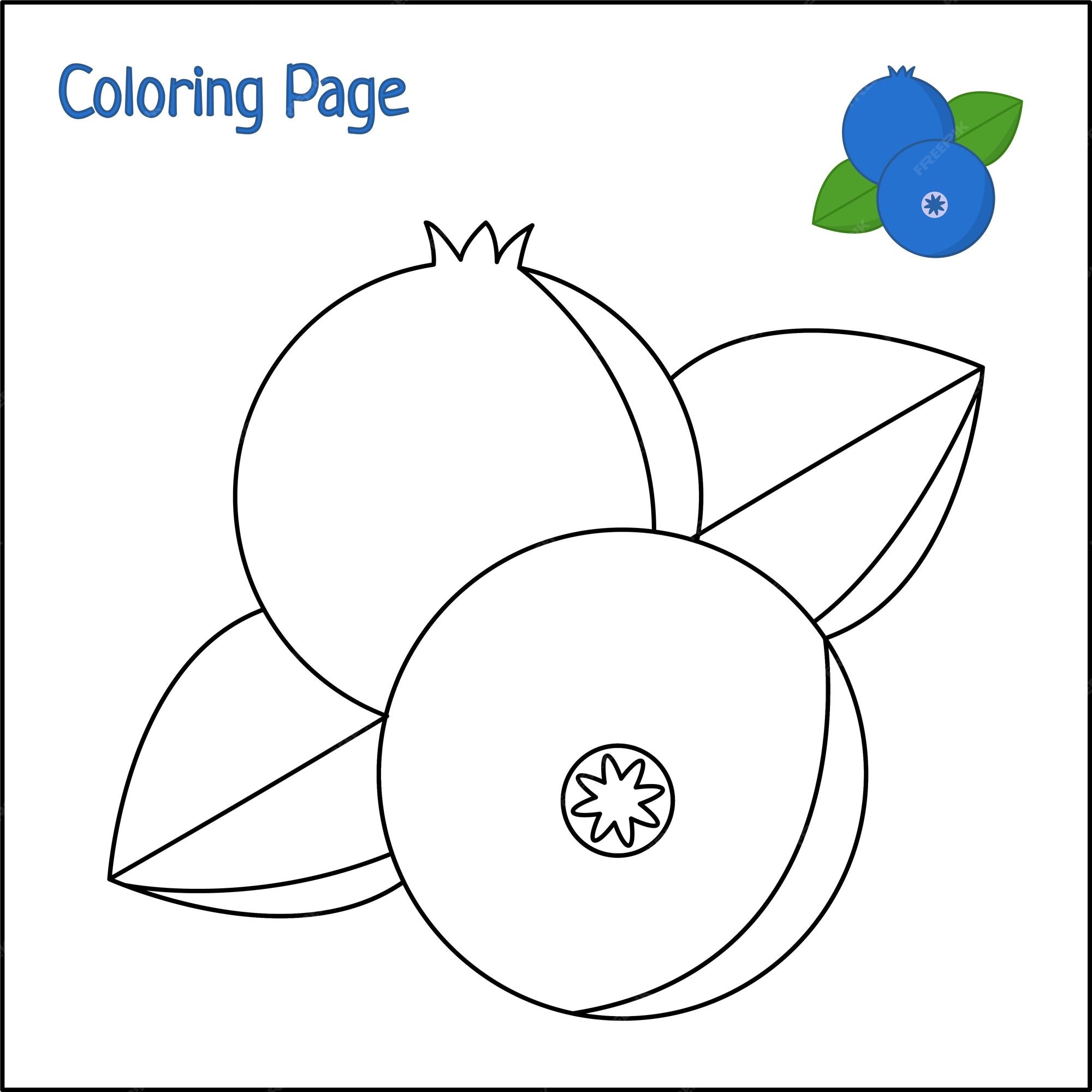 Blueberry coloring page vector folha de trabalho educacional