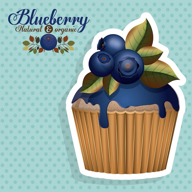 Blueberry design  vector illustration