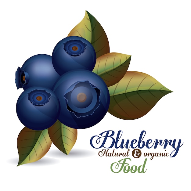 Blueberry design over white background