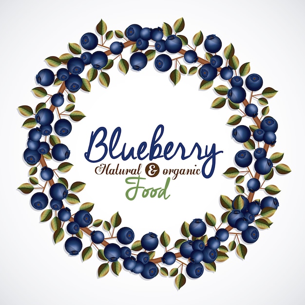 Blueberry design 