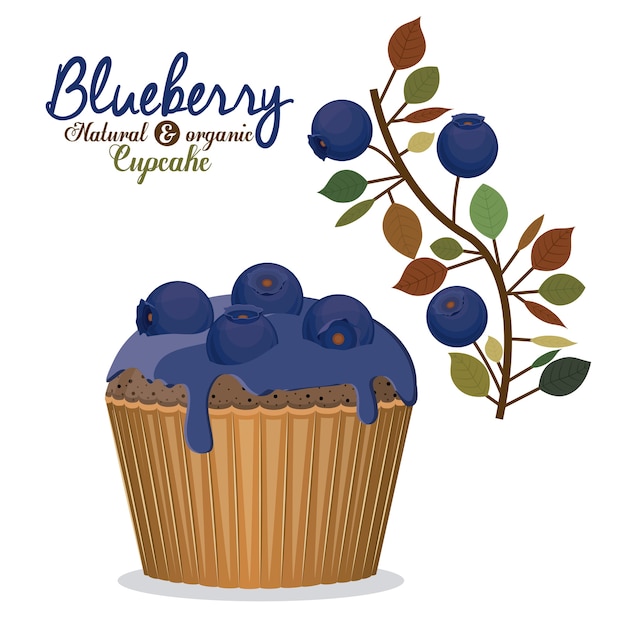 Blueberry design