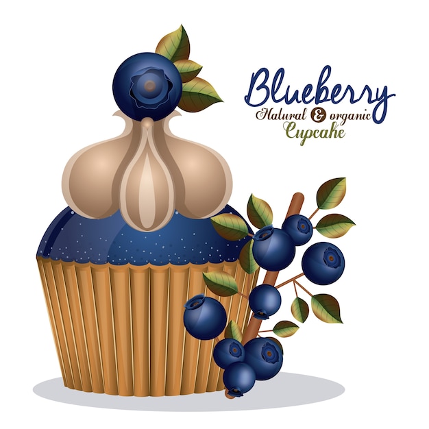 Blueberry design 