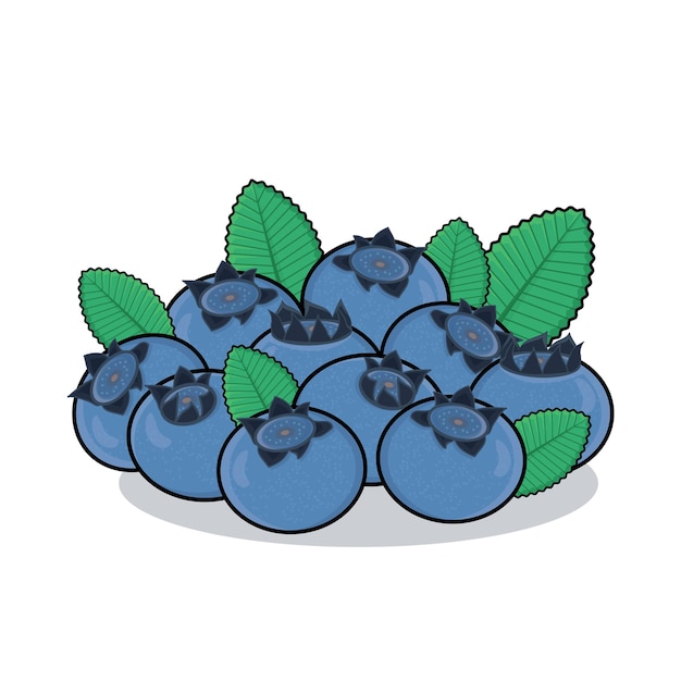 Vector blueberry fruit blueberry vector icon cartoon design ilustration blueberry with leaf