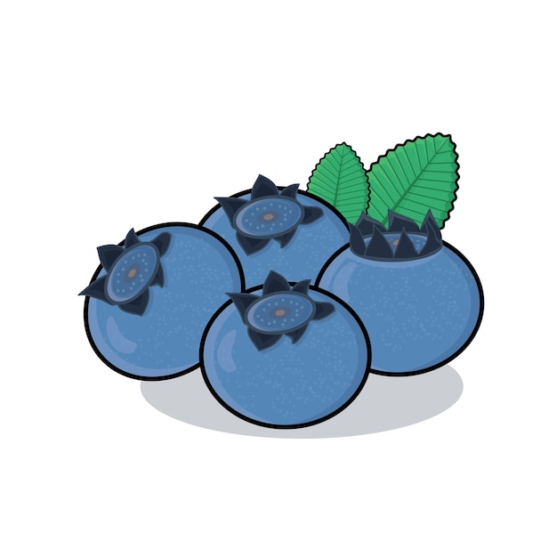 Blueberry fruit Blueberry vector icon cartoon design ilustration Blueberry with leaf