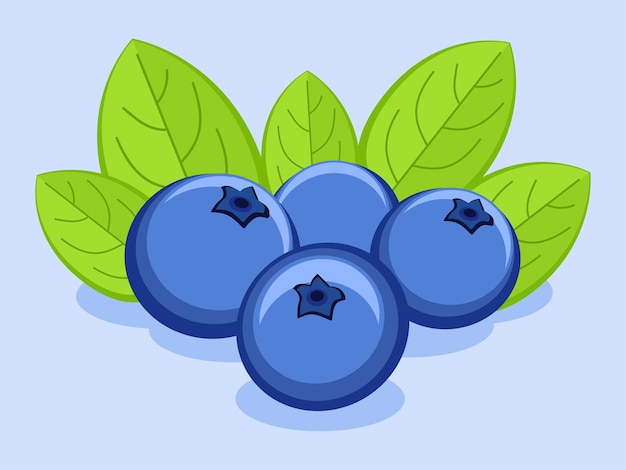 Blueberry fruit cartoon flat ilustrations