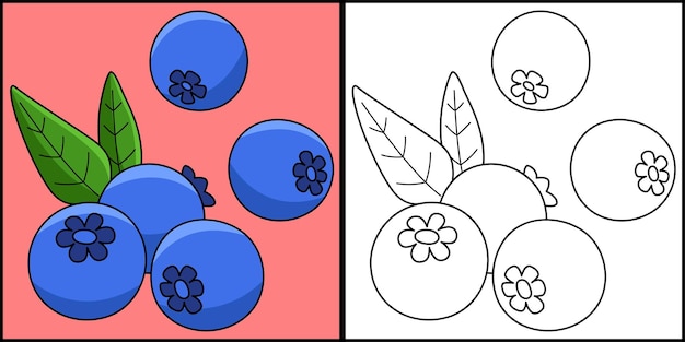 Illustrazione colorata della pagina di coloritura della frutta del mirtillo