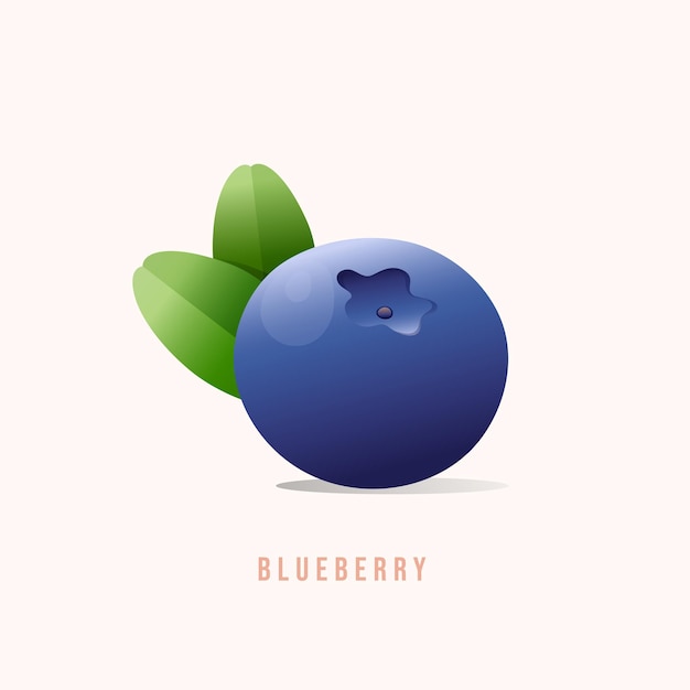 blueberry fruit Modern style vector illustration