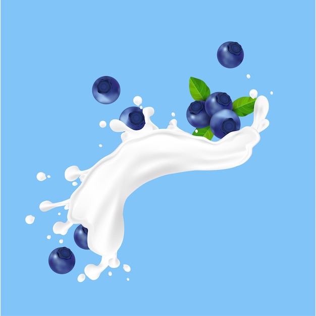 Blueberry fruit and splashes of milk