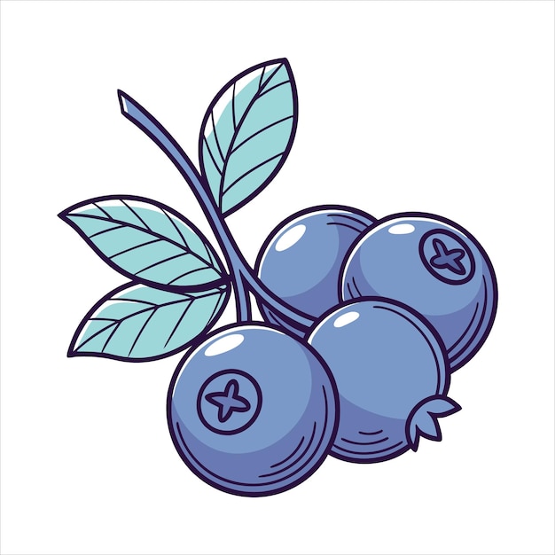 blueberry fruit vector art illustration