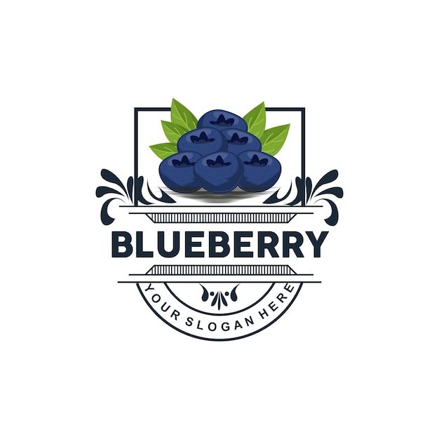 Vector blueberry logo garden farm fresh fruit vector elegant simple design symbol illustration template
