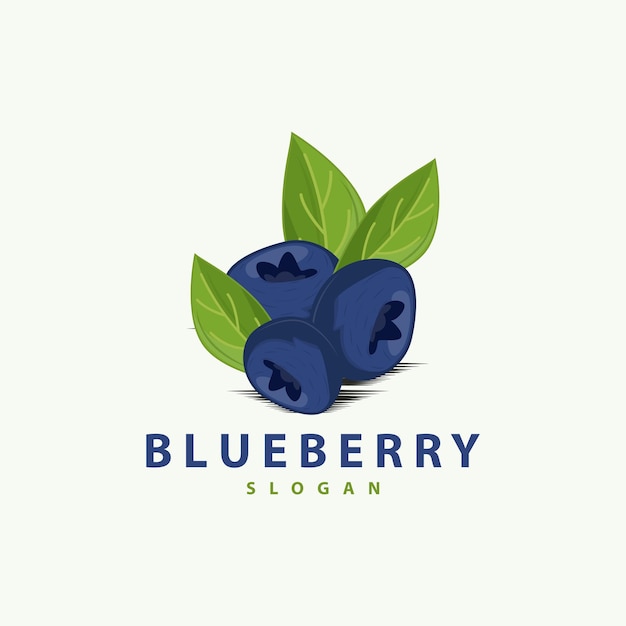 Blueberry Logo Tuin Boerderij Vers Fruit Vector Elegante Eenvoudig Ontwerp Symbool Illustratie Sjabloon