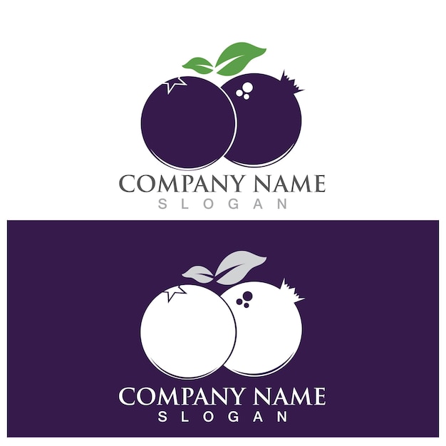 Blueberry logo and vector template