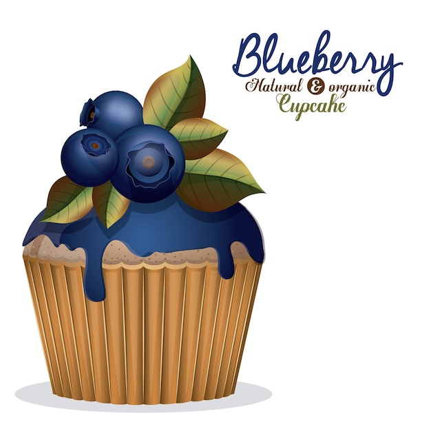 Blueberry ontwerp