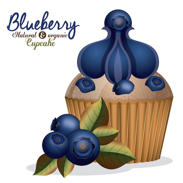 Blueberry ontwerp