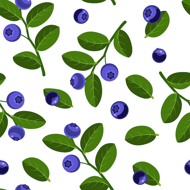 Vector blueberry pattern with leaves