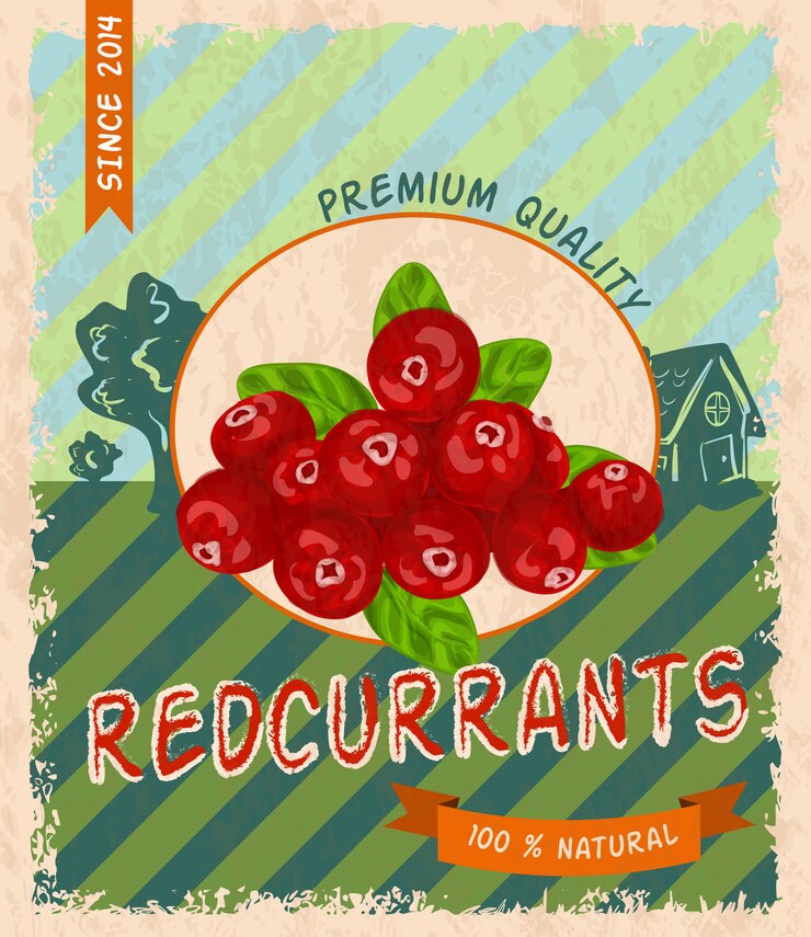 Vector blueberry retro poster