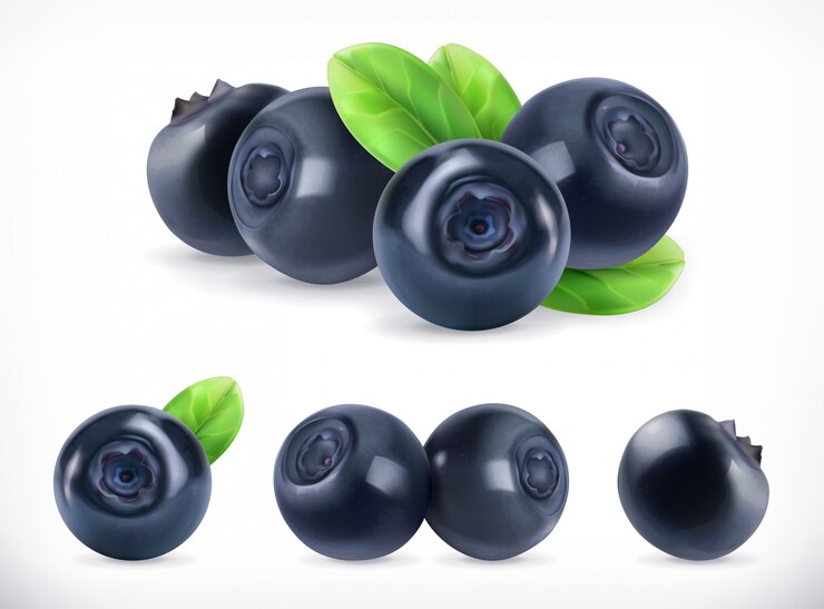 Vector blueberry. sweet fruit. forest berry. realistic illustration