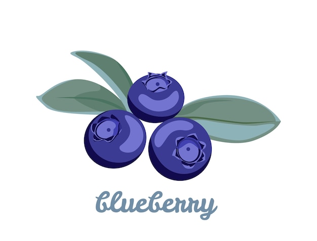 Blueberry vector cartoon illustratie