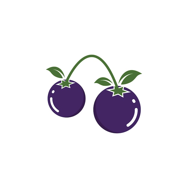 Blueberry vector illustration design