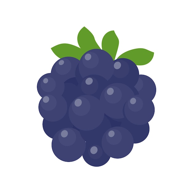 Vector blueberry vector verse bessen gezonde vruchten bevatten antioxidanten