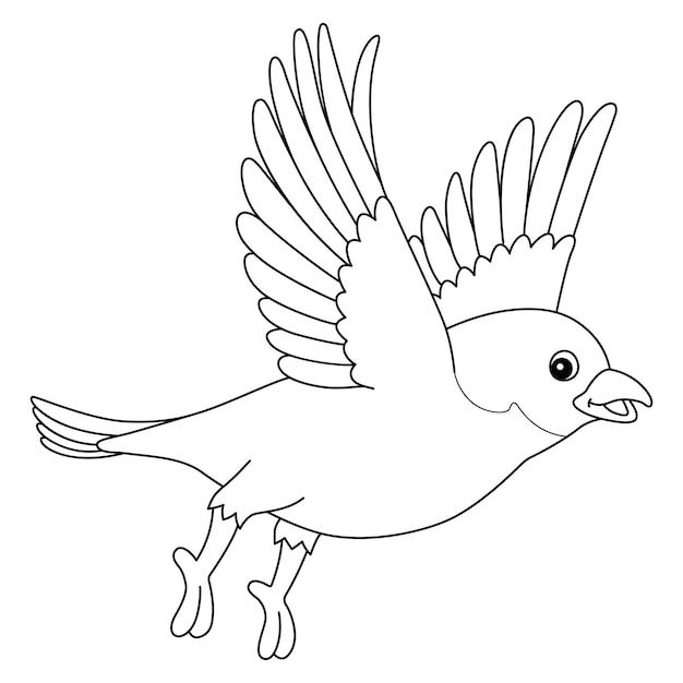 Vettore pagina da colorare isolata animale bluebird per i bambini