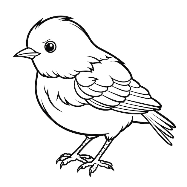 bluebird coloring pages vector animals