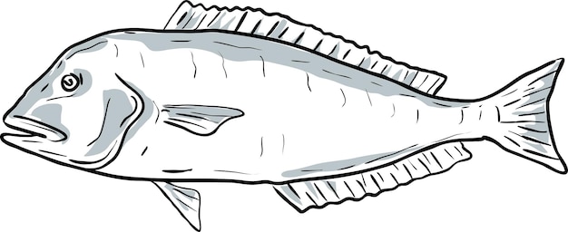Vector blueline tilefish fish gulf of mexico cartoon drawing