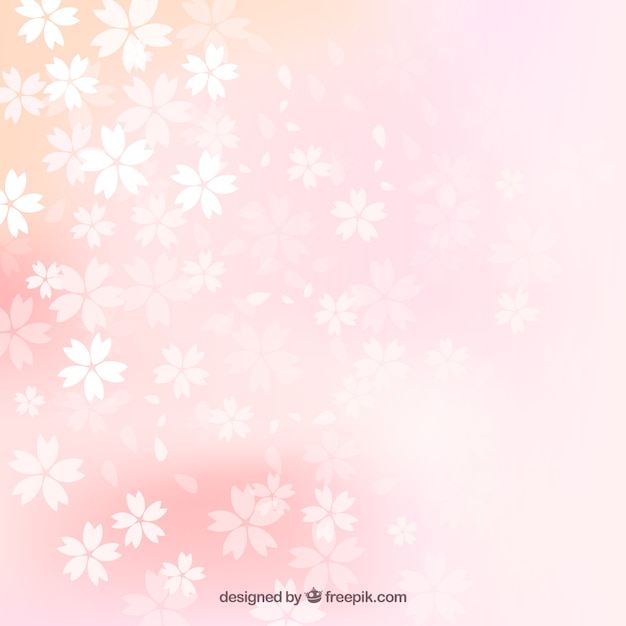 Blurred cherry blossoms background
