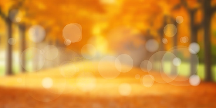 Vector blurred fall background bokeh effect