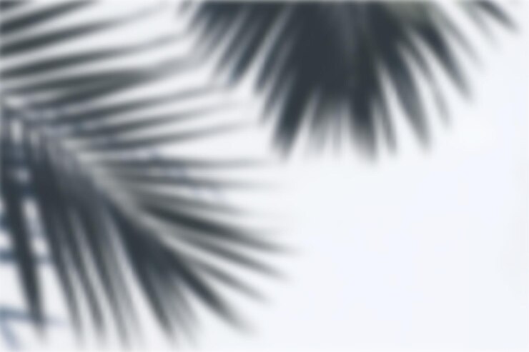 Vector blurred palm leaves for tranquil background or texture