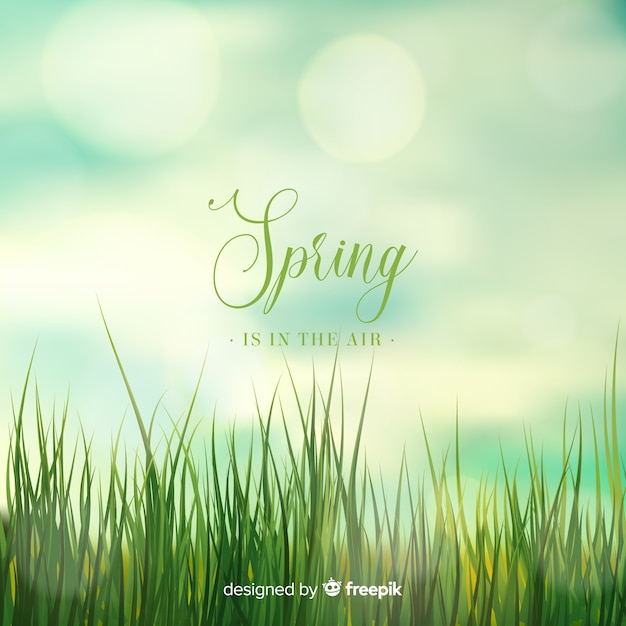 Blurred spring background